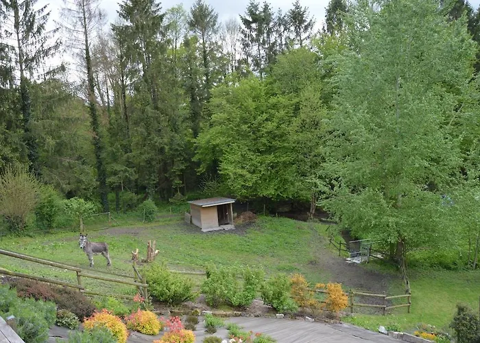 Le Relais Du Biau Ri Gæstehus 3*